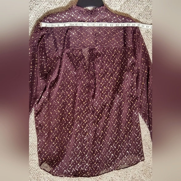 Sheer Blouse with Nice Details - Picture 7 of 8